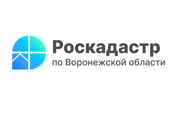 Роскадастр ответил на популярные вопросы воронежцев о выписках из ЕГРН.